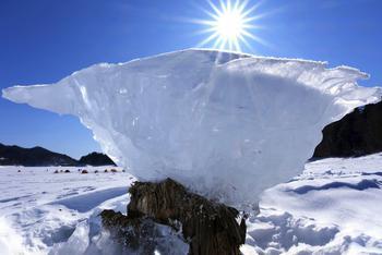 神奇!日本北海道现“蘑菇冰”