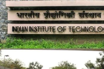 第一批印度CEO 正被“清算”