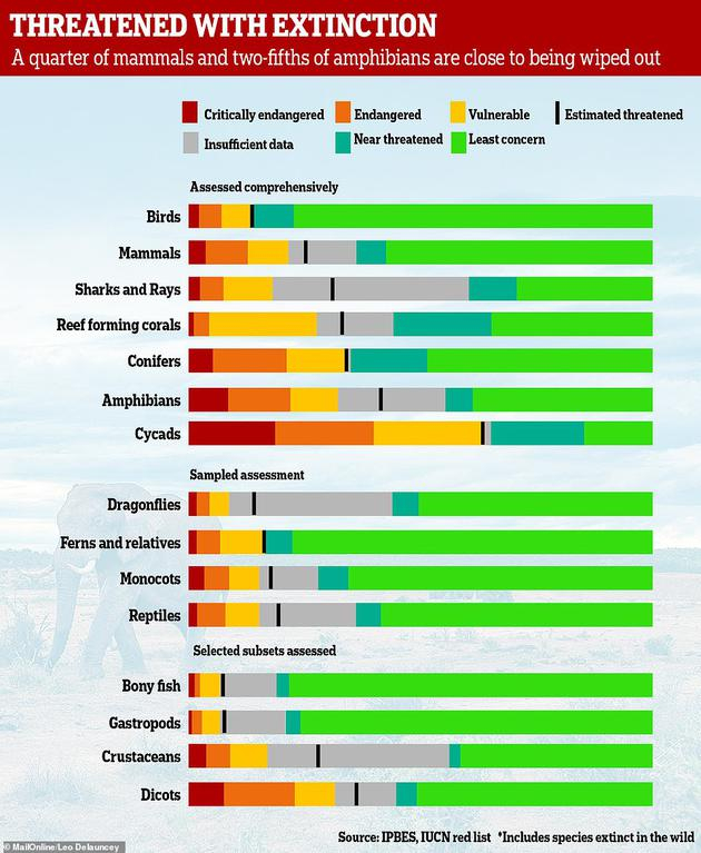 　　超过40%的两栖动物、超过三分之一的海洋动物、以及近三分之一的鲨鱼和鱼类都面临灭绝的威胁。与该报告同时发布的一项研究指出，在所有动物中，两栖动物灭绝的风险最高，远超出此前预期。