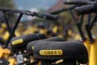 ofo公关回应装外国人秒退押金:不知道 应该不可能
