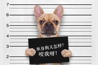 大龄单身狗过年回家压力大怎么办?这份应对措施收好