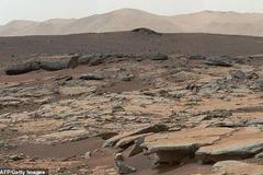  Bacteria may survive on Mars: suggesting the possibility of life on Mars