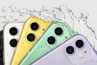 李楠称iPhone 12之前的所有5G手机都是小白鼠