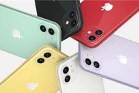 分析师:iPhone 11中国需求强劲 明年有四款5G iPhone
