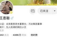 投资神话破灭?王思聪旗下普思资本股权遭冻结