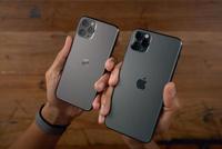 罗森布拉特证券:苹果将iPhone 11 Pro减产25%