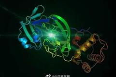 春运返程防疫，你需要了解的都在这里！