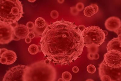 为何新型冠状病毒感染症状不一？