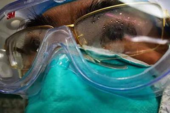 如何识别高危人群？对心理干预有何建议？