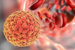 餐饮企业复工，如何在做好防护的同时做好保障？