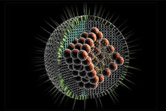新冠状病毒肺炎传染性与其他传染病究竟有什么区别？