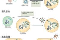 传播力胜过SARS,需要担心新冠病毒变异吗?