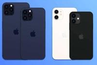 知情人士:iPhone12可能有一款4G版本