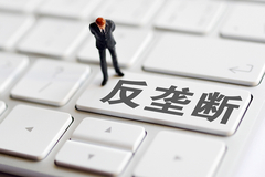 新华网评论：全球为何都对互联网企业发起反垄断大招？