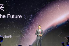 华为胡厚崑：2020年经营基本达到预期 收入和利润略有增长