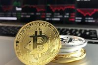摩根大通调查:三分之一大型投资者认为比特币是“老鼠药”