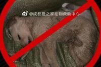 太恶劣!“宠物盲盒”爆卖,小猫小狗竟被活活憋死!中通快递深夜回应…