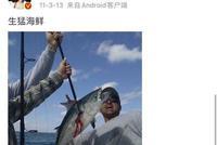 回形针等科普大V“不让中国人吃海鲜”的背后…