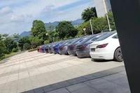 强制员工买特斯拉?楼下已停满了Model 3!宁德时代回应……