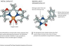 2021诺贝尔化学奖刚刚揭晓！他们改变了药物分子的合成