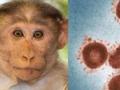 基因测序证实猴痘已大规模社区传播 国卫生官员为6月拉响警报