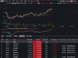 华虹宏力、智谱大涨超10%！规模最大港股通信息技术ETF华宝（159131）强势翻红逼近上市高点