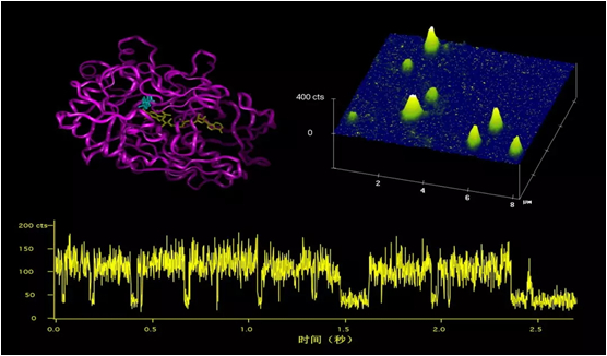 Lu， Xun & Xie， Science 282， 1877 （1998）