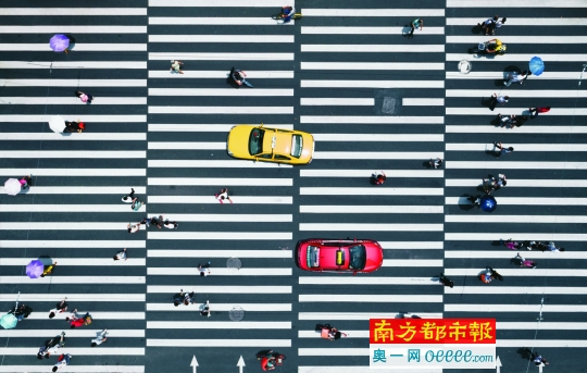 二中兄去年7月拍摄于广州北京路与中山路交界的斑马线。