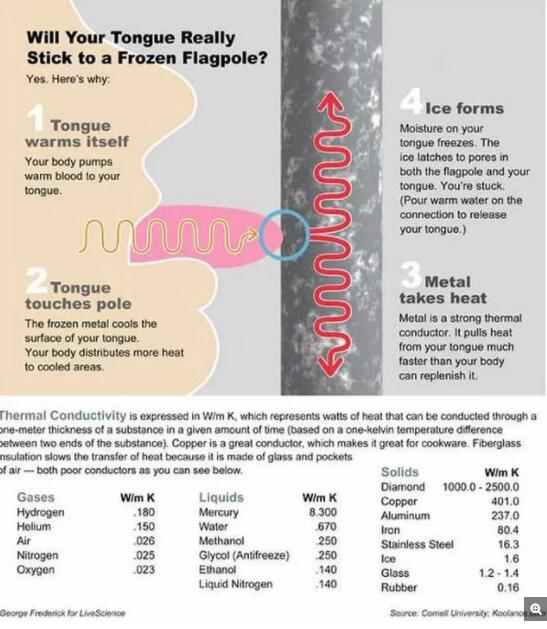 　　舌头是温暖的，当它接触到冰冷的金属杆时，热量会被立刻吸走，而舌头上的湿气会立刻冻结成冰，将舌头与金属杆“黏”在一起。