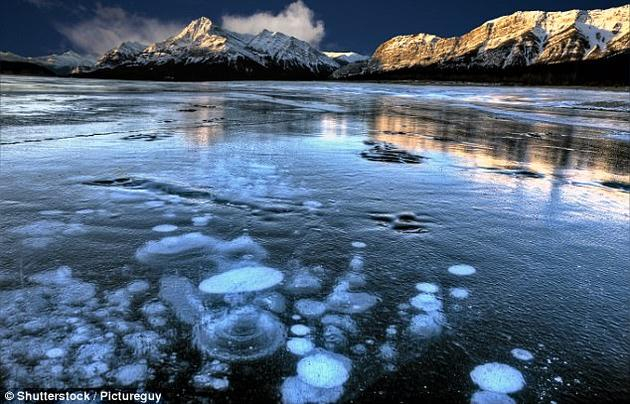 　　研究显示，如果全球气温升高1℃，那么这类甲烷气体的释放量将增加大约20%。这种额外的甲烷气体将进一步导致温室效应加剧，形成恶性循环。