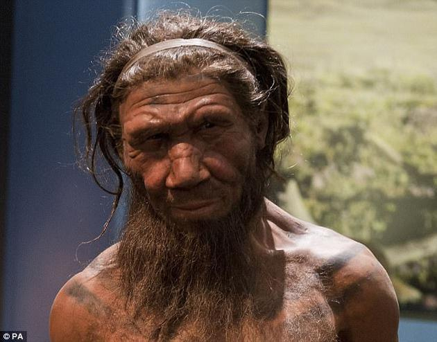 　　科学家认为尼安德特人与早期现代人类艺术造诣的区别也许与两者的狩猎方式有关，这也解释了为何人类比尼安德特人聪明。图为一名20多岁的男性尼安德特人模型。