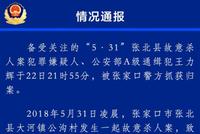 公安部A级通缉犯王力辉落网 10余年间涉嫌杀害6人