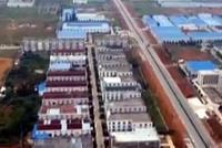 “要人还是要鳄鱼”?可持续发展必须摒弃短视思维