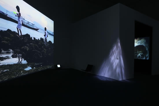 展览现场&nbsp;