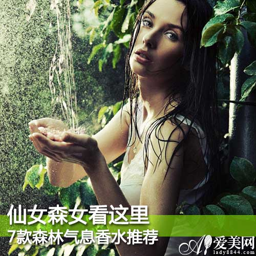 7款森林气息香水推荐