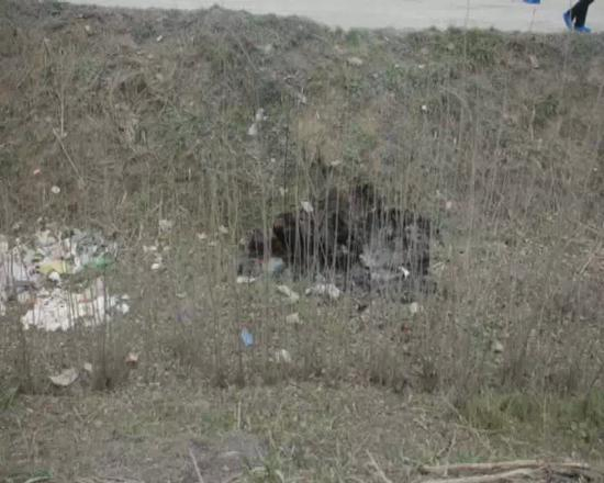 虽然尸体焚烧严重，但是面部保存相对完好。