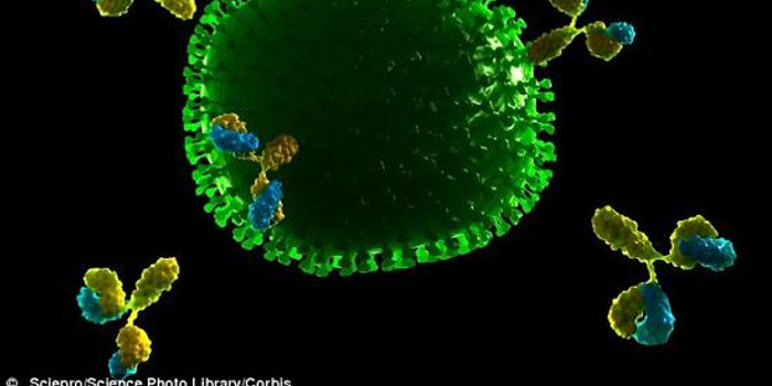 中国科学家发现新机制 可解癌症靶向治疗