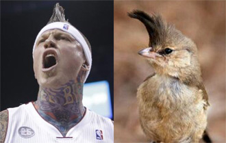 看，我们两个像不