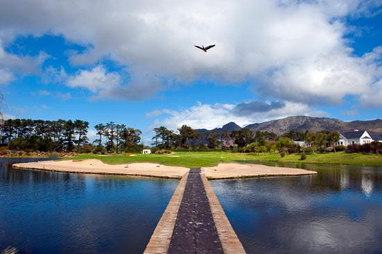 坐落在Steenberg葡萄酒庄园内