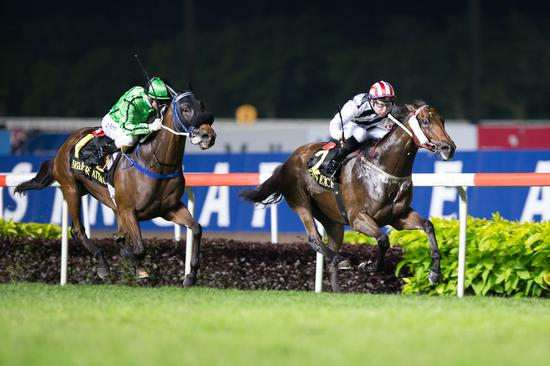 左侧为亚军“军事出击”，右侧为“花月春风”，香港包揽赛事头两名。