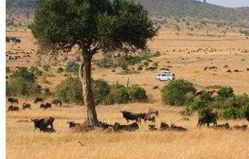 轻松舒适观赏风景