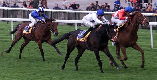 澳门赛马比赛中奔驰的骑手