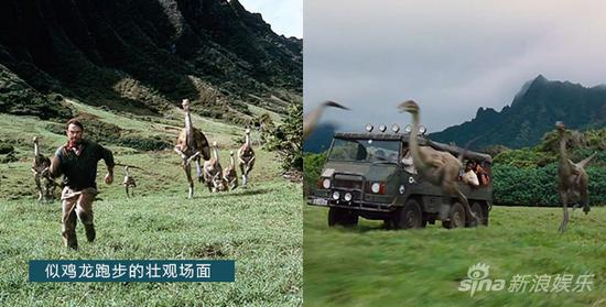 似鸡龙在奔跑
