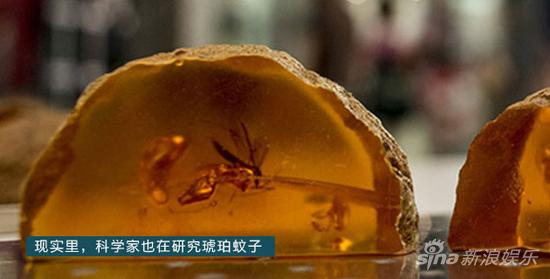 琥珀蚊子造恐龙