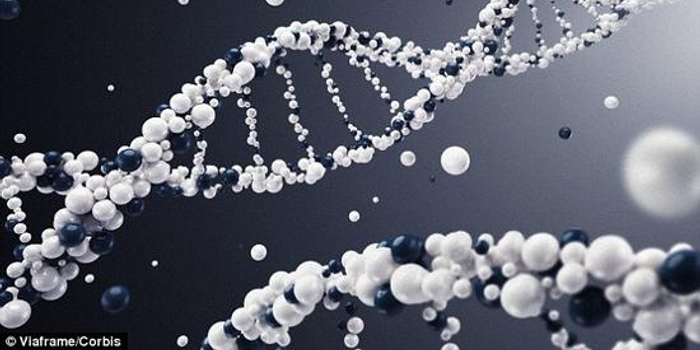地球所有dna分子可装满十亿集装箱 总重500亿吨 手机新浪网