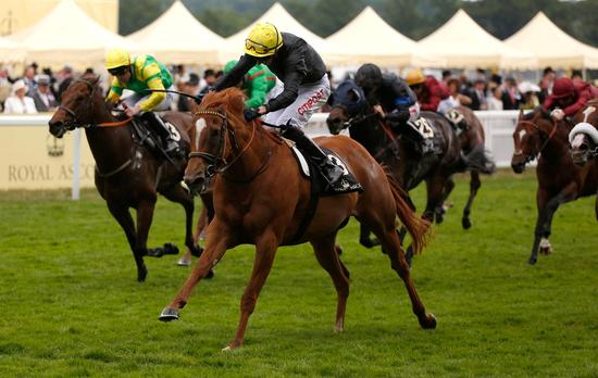 “戴冠”拿下沃金汉姆锦标赛冠军