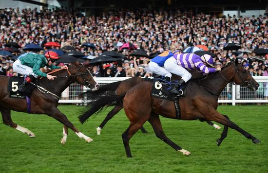 “合你意”夺得揭幕战冠军