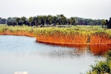 河北唐山曹妃甸国家湿地保护中心