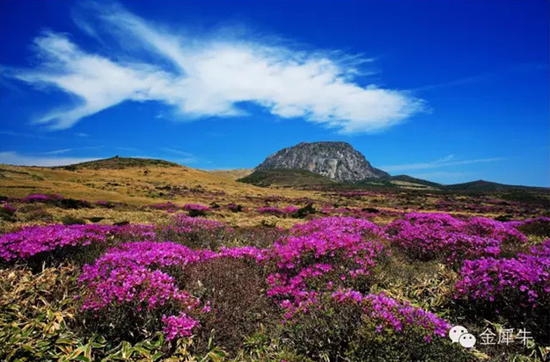 登韩国最高名山——汉拿山，体会一日“四季”的感觉。