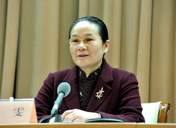 上海副市长赵雯(资料图)